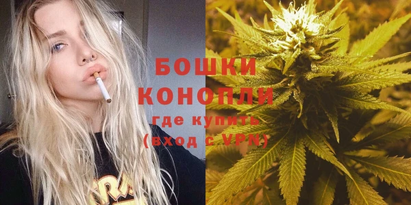 дживик Аркадак
