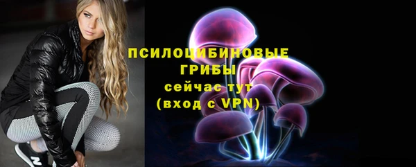 дживик Аркадак