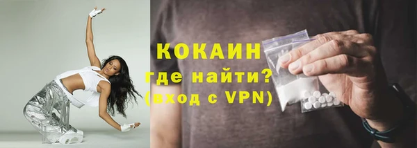 индика Армянск