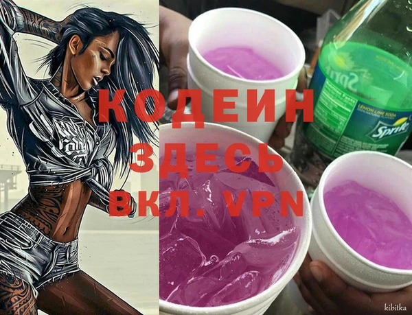 индика Армянск