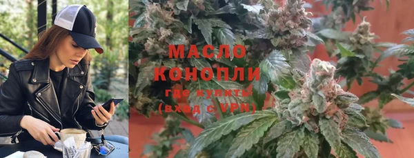индика Армянск