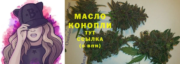 индика Армянск