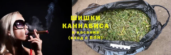 дживик Аркадак