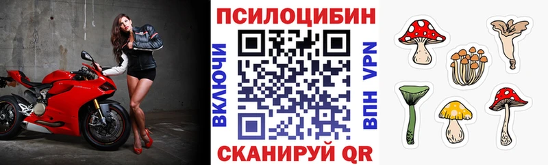 Галлюциногенные грибы Magic Shrooms  мега зеркало  Сясьстрой 